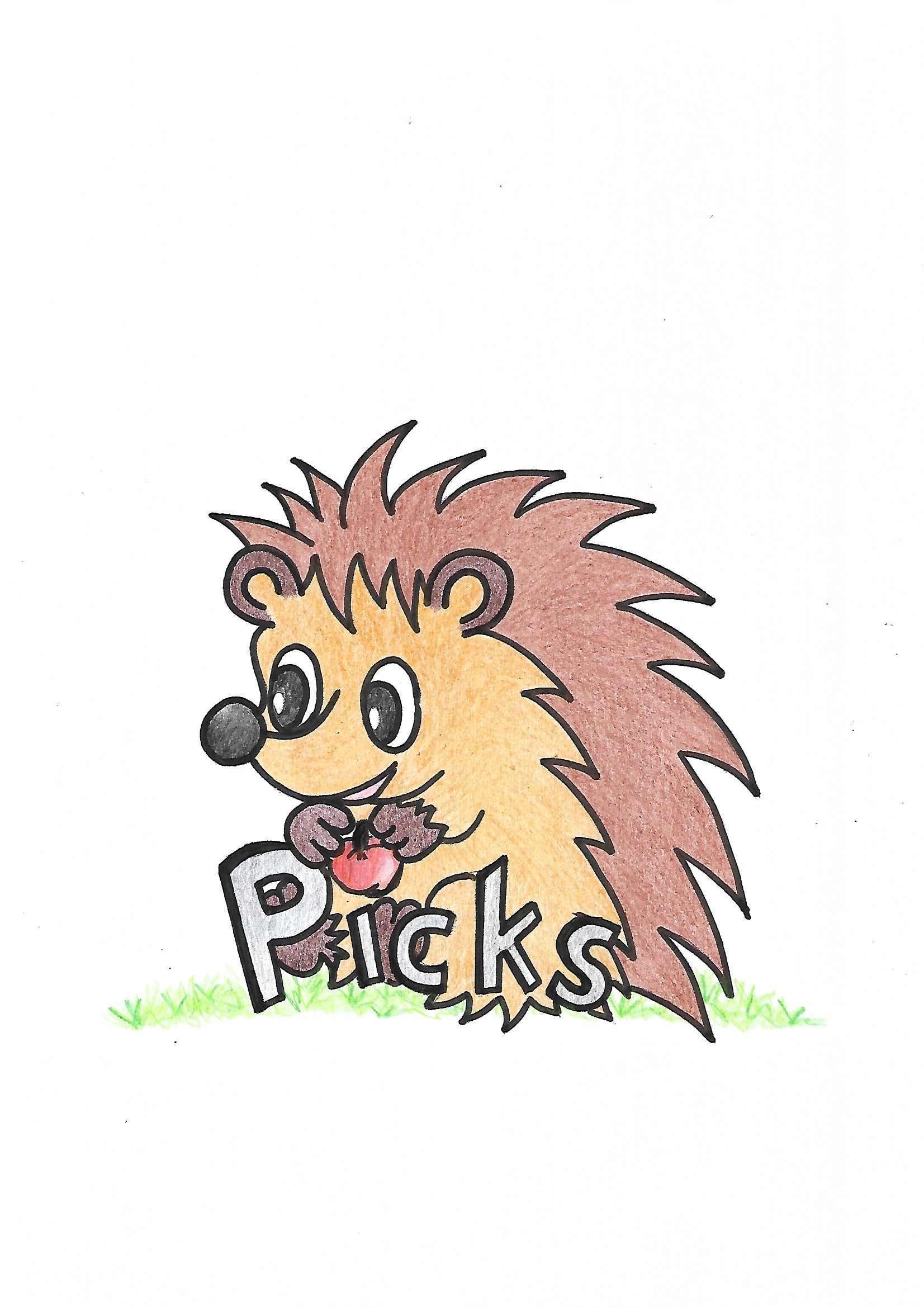 Igel Picks