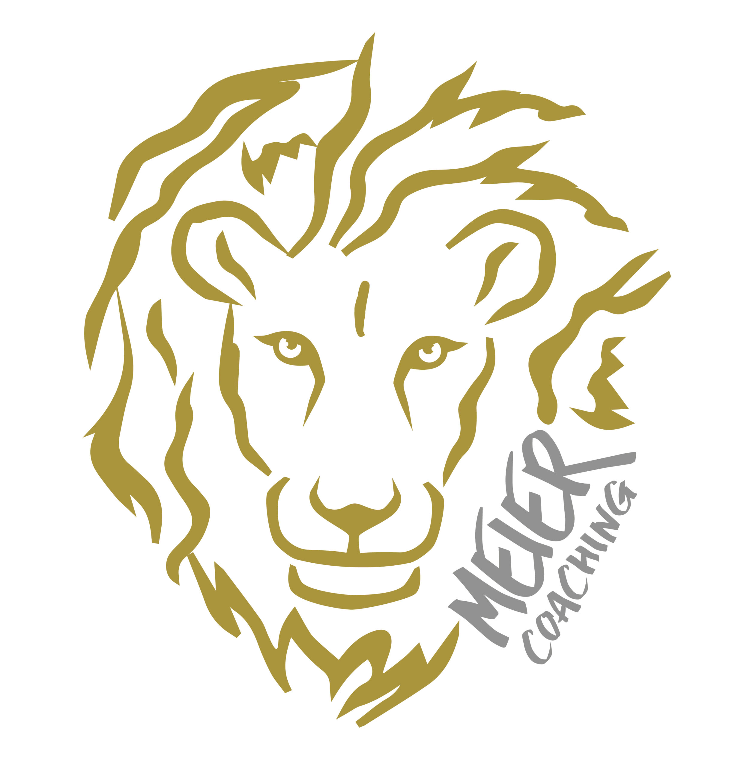 Website-Icon Löwenkopf Meier Coaching